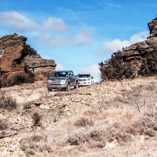 Central Otago Safaris
