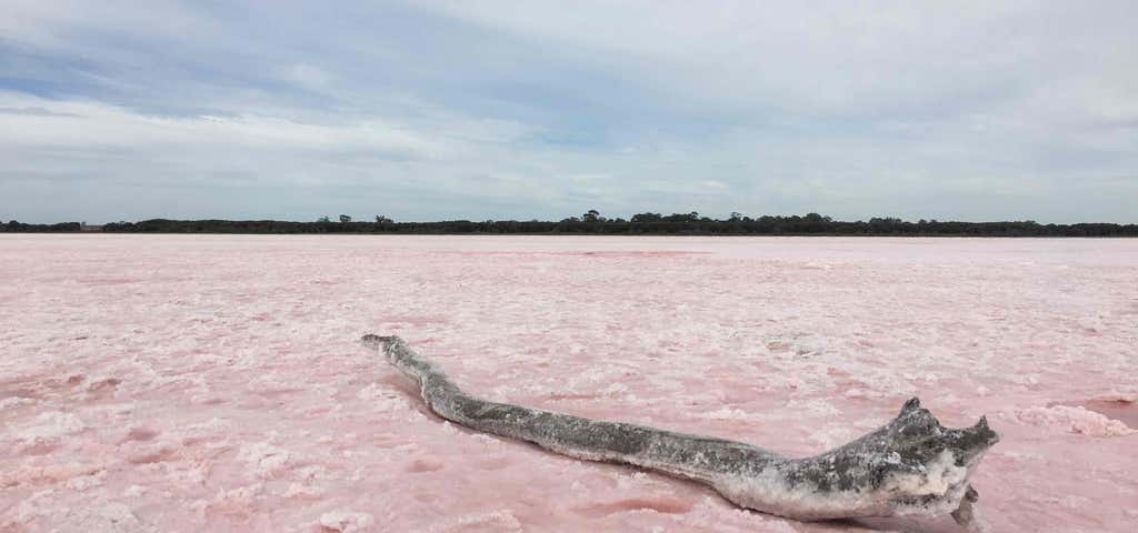 Photo of Pink Lake