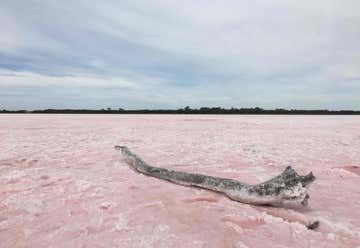 Photo of Pink Lake