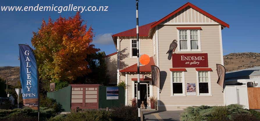 Photo of Endemic Art Gallery