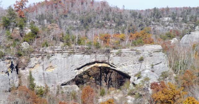 Natural Arch Scenic Area  Whitley City Roadtrippers