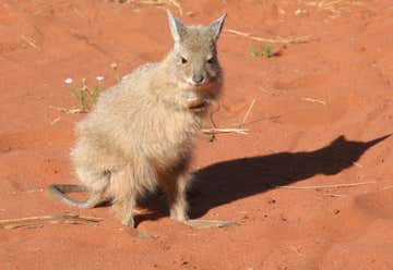 Photo of Watarrka National Park (Kings Canyon)