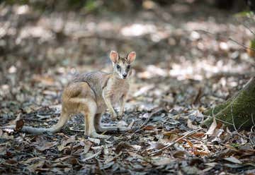 Photo of Territory Wildlife Park