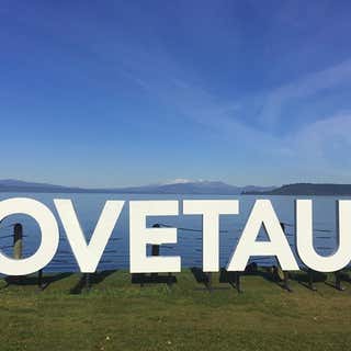 Love Taupo Lettering