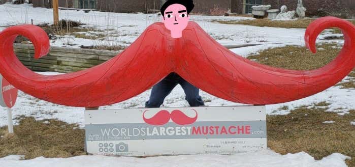 Photo of World's Largest Mustache