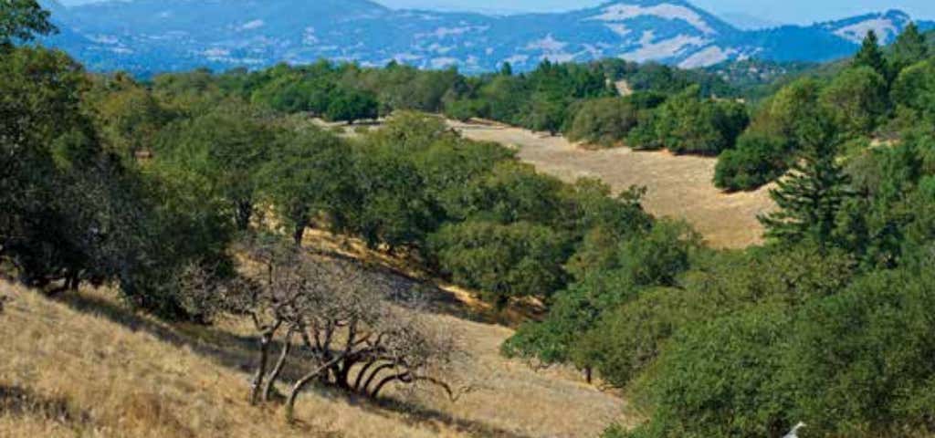 Photo of Annadel State Park