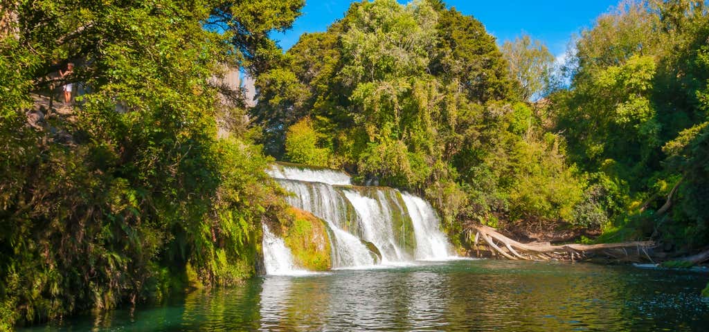 Photo of Maraetotara Falls