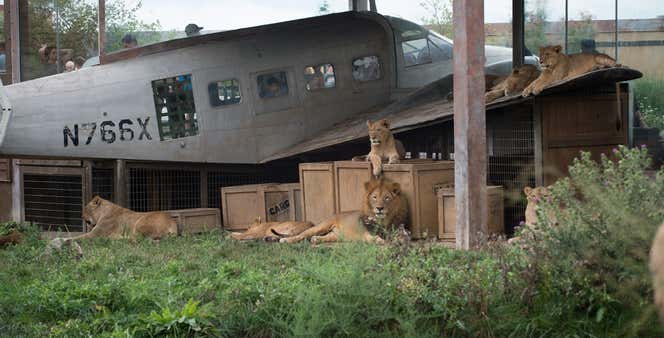columbus zoo org columbus zoo org