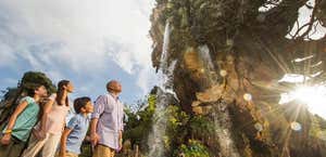 Disney's Animal Kingdom
