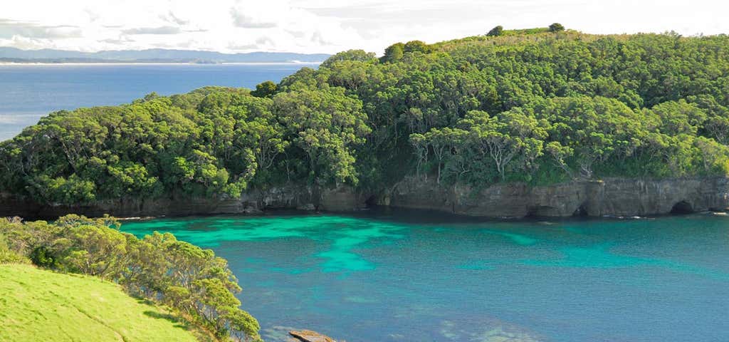 Photo of Goat Island Marine Reserve