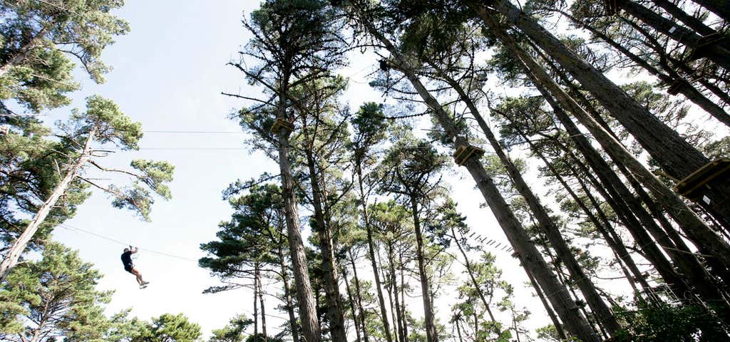 Photo of Adrenalin Forest - Wellington