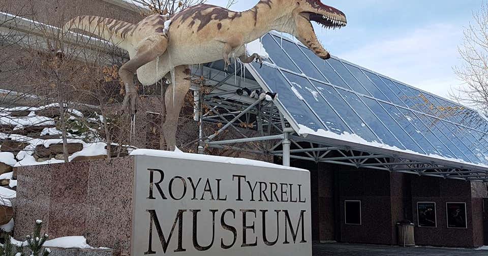 tyrrell museum of paleontology