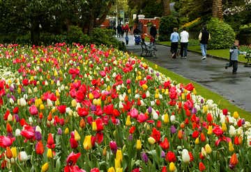 Photo of Wellington Botanic Garden