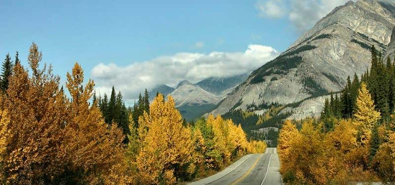 Photo of Icefields Parkway