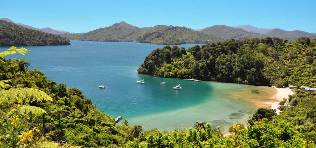 Photo of Queen Charlotte Track