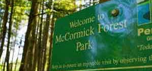 Photo of McCormick Forest