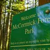 McCormick Forest