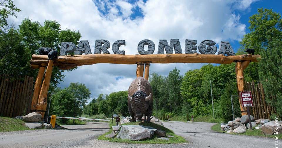 Parc Omega, Ontario Roadtrippers