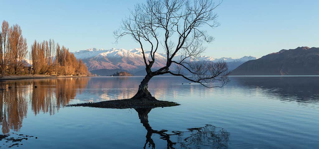 Photo of Lake Wanaka
