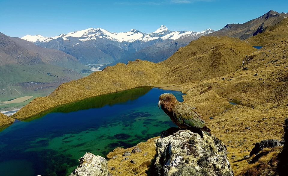 Eco Wanaka Adventures