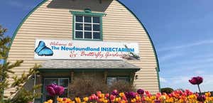 Newfoundland Insectarium