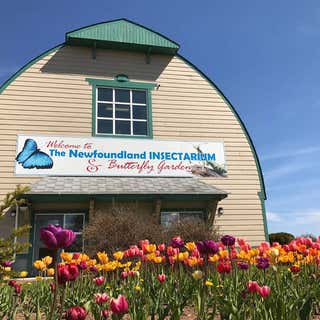 Newfoundland Insectarium