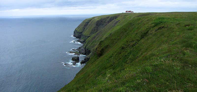 Photo of Cape St. Mary's Ecological Reserve