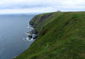 Photo of Cape St. Mary's Ecological Reserve