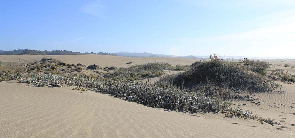 Photo of Westport-Union Landing State Beach