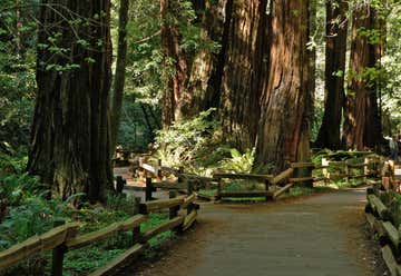 Photo of Muir Woods National Monument