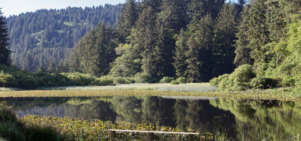 Photo of Del Norte Coast Redwoods State Park