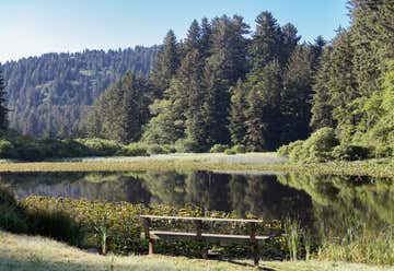 Photo of Del Norte Coast Redwoods State Park