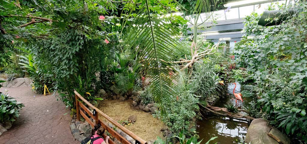 Photo of Victoria Butterfly Gardens