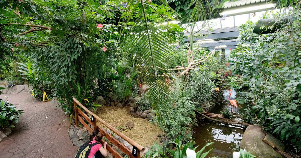 Victoria Butterfly Gardens, British Columbia Roadtrippers