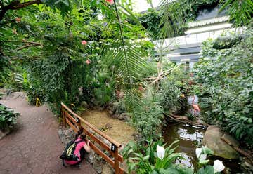 Photo of Victoria Butterfly Gardens