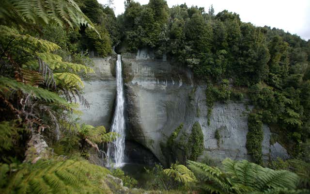 Taranaki's Best Walking Tracks