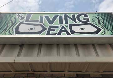 Photo of Living Dead Museum