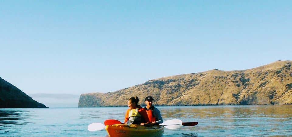 Photo of Akaroa Guided Kayak Safari