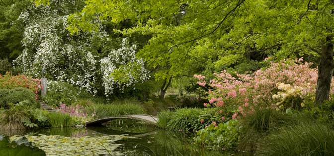 Photo of Flaxmere Garden