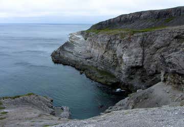 Photo of Burnt Cape Ecological Reserve