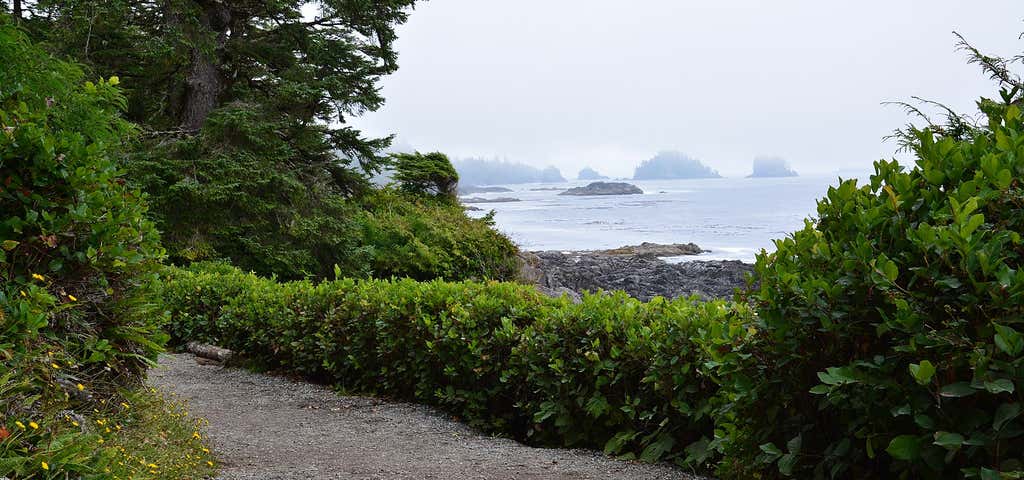 Photo of Wild Pacific Trail