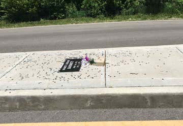 Photo of Grave in the Middle of the Road