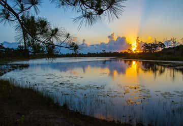 Photo of Jonathan Dickinson State Park Campground