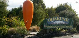 Ohakune Carrot