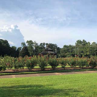 Thomasville Rose Garden