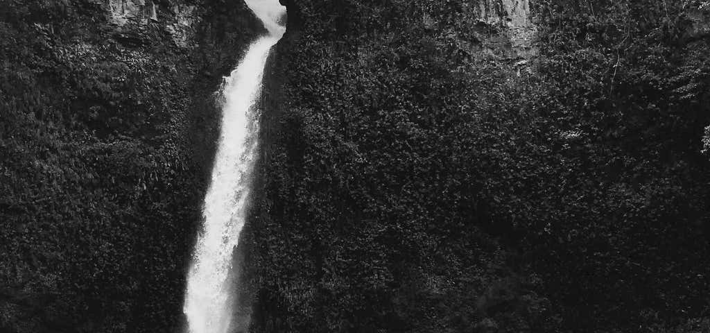 Photo of Nandroya falls
