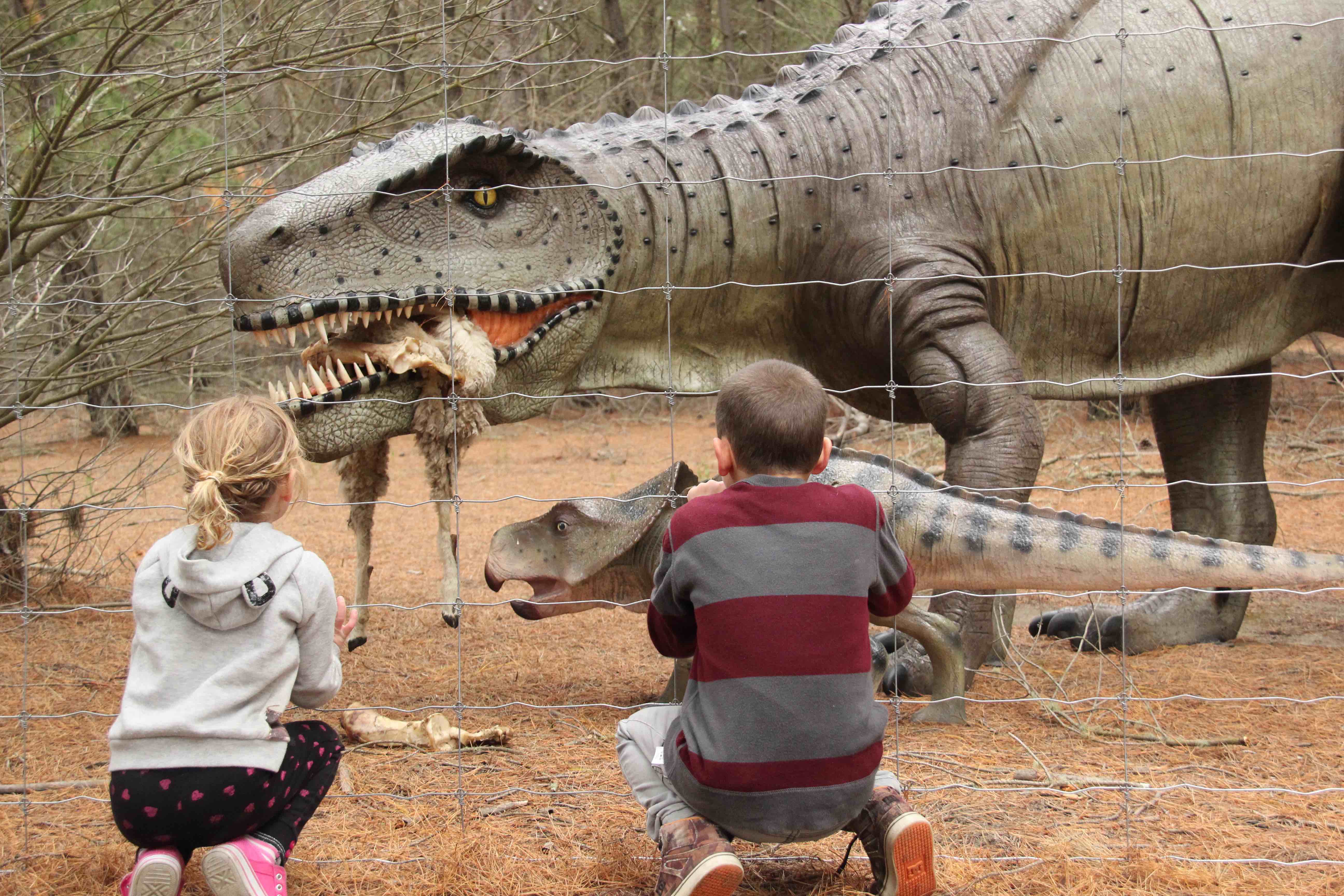 Jurassic Safari Adventure - Family experience