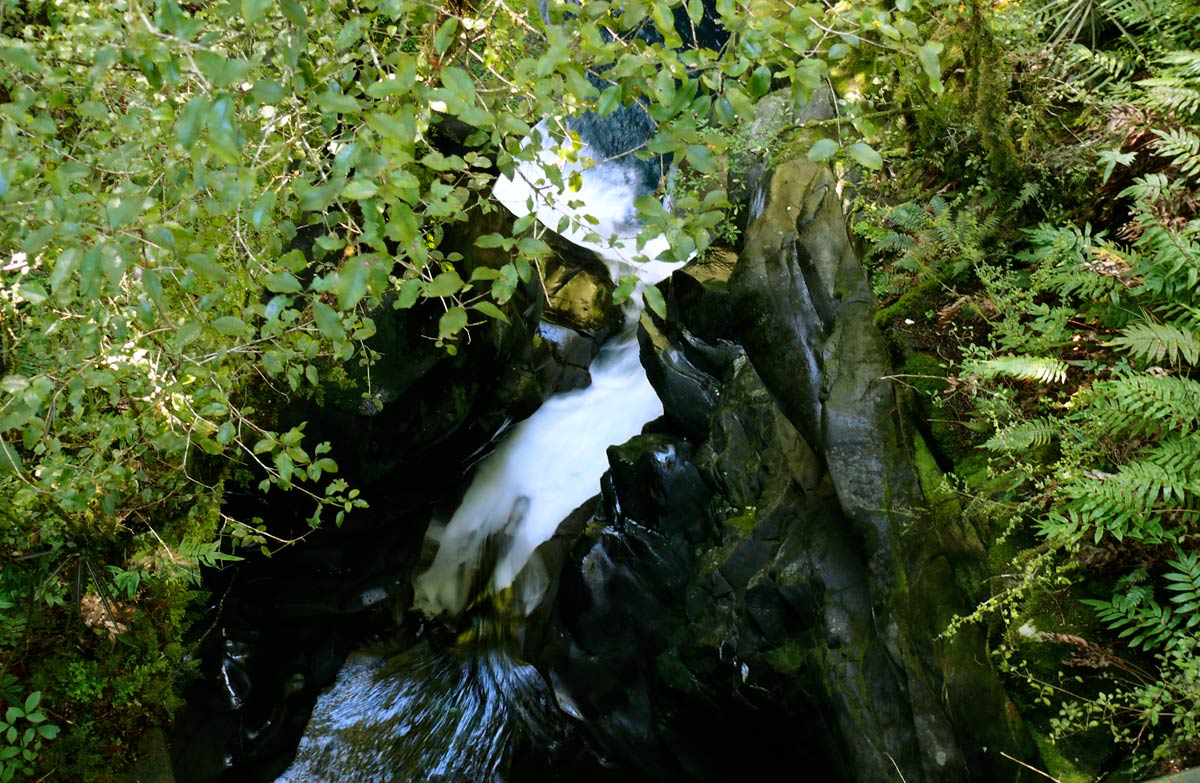 The Chasm Walk