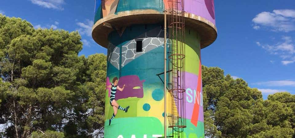 Photo of Snowtown Water Tower Art