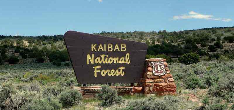 Photo of Kaibib National Forest